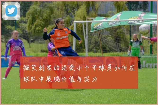 微笑刺客的逆袭小个子球员如何在球队中展现价值与实力