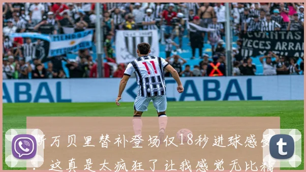 斯万贝里替补登场仅18秒进球感受：这真是太疯狂了让我感觉无比精彩