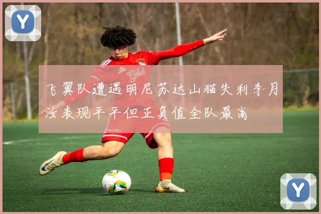 飞翼队遭遇明尼苏达山猫失利李月汝表现平平但正负值全队最高
