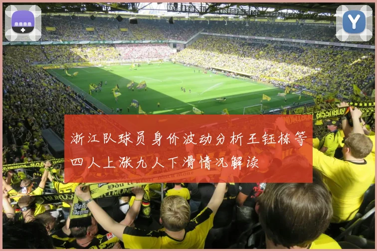 浙江队球员身价波动分析王钰栋等四人上涨九人下滑情况解读